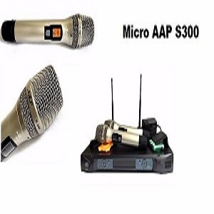 Micro AAP S300